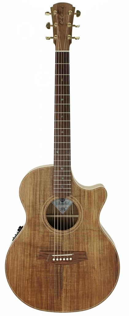 COLE CLARK TL2EC THINLINE ALL BLACKWOOD ACOUSTIC/ELECTRIC GUITAR - CASE