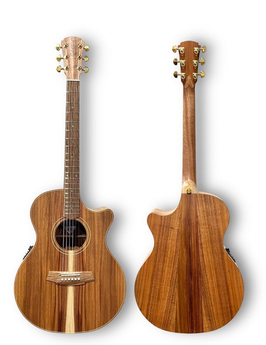 COLE CLARK AN2EC ALL BLACKWOOD - ROSEWOOD FRETBOARD AC/EL - CASE