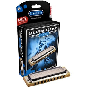 HOHNER BLUES HARP - D