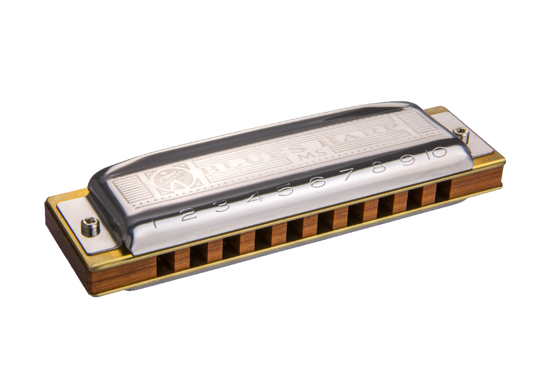 HOHNER BLUES HARP - D
