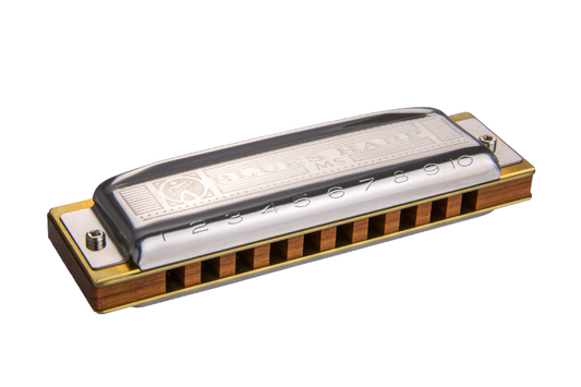HOHNER BLUES HARP - D