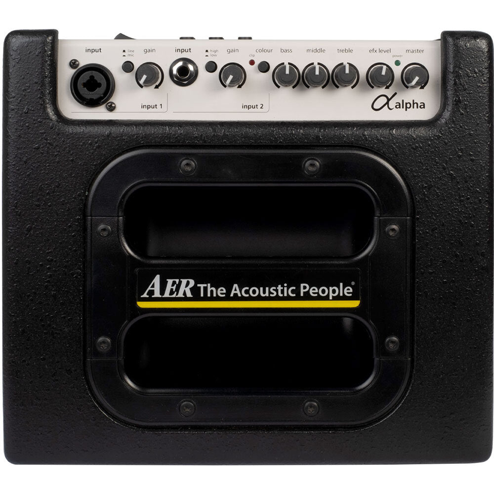 AER ALPHA 40W ACOUSTIC GUITAR AMP - BAG