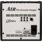 AER ALPHA 40W ACOUSTIC GUITAR AMP - BAG