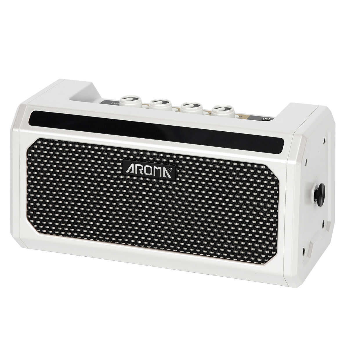 AROMA TG-08A PORTABLE 10W ACOUSTIC GUITAR AMP