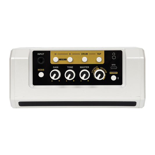 AROMA TG-08A PORTABLE 10W ACOUSTIC GUITAR AMP