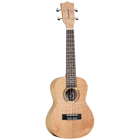 TANGLEWOOD TWT6B TIARE CONCERT UKULELE