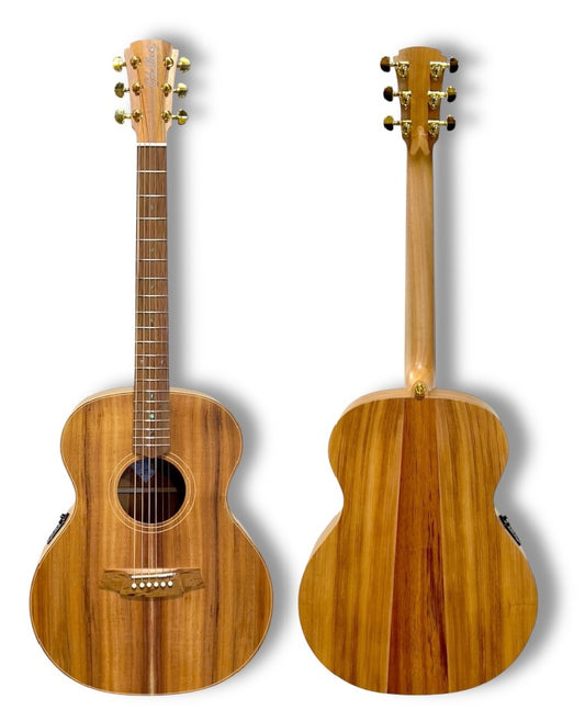 COLE CLARK AN2E ACOUSTIC/ELECTRIC - ALL BLACKWOOD