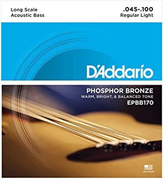 D'ADDARIO ACOUS BASS SET 45-100