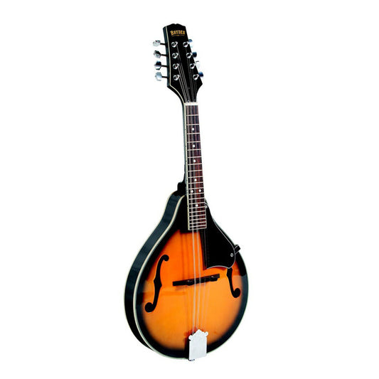 BRYDEN MANDOLIN PACK